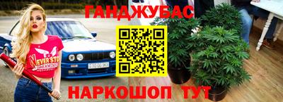 Альфа ПВП Будённовск