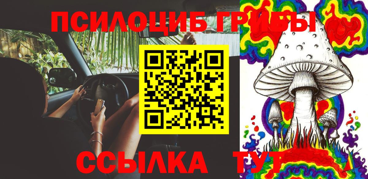 Галлюциногенные грибы Magic Shrooms Киреевск